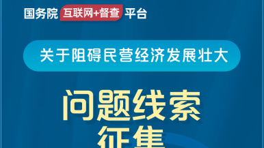 8×8日批操逼国务院“互联网+督查”平台公开征集阻碍民营经济发展壮大问题线索